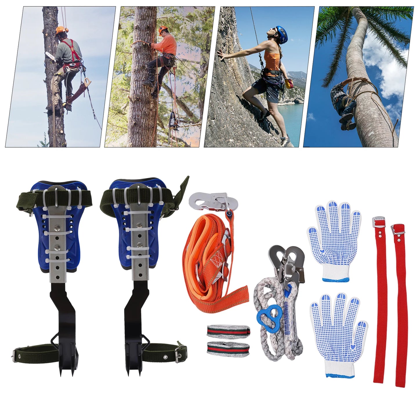 150kg Capacity Adjustable Tree Climbing Spikes Gear Set with Safety Harness Rope Gloves for Outdoor Climbing, Fruit Picking