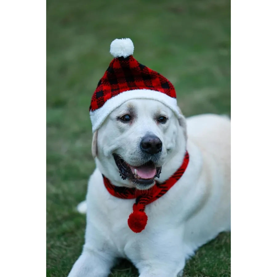 Red Buffalo Plaid Dog Christmas Hats Scarf Santa Accessory Costume for Pets Knitted Christmas Hat Scarf Set 2 Pack Large