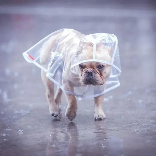 1pc Transparent Hooded Pet Dog Plastic Raincoat Dog Clothes Poncho For Small Dogs Little Puppy Pet Outdoor Accessories