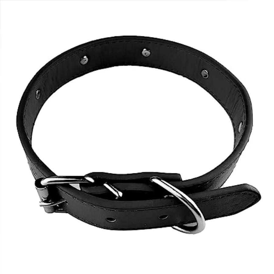 New Skull Dog Collar Skeleton Cat Collar Skull Design Pet Collar for Dogs and Cat Black Large Fits for Neck Girth from 13.5 to