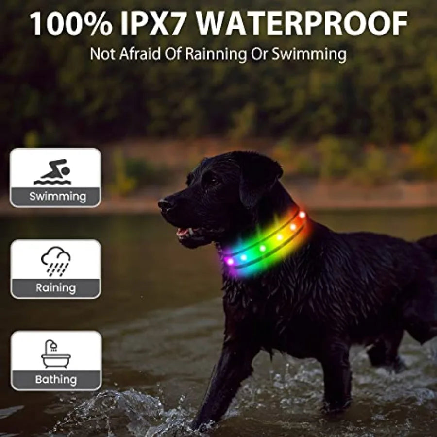 LED Dog Collar lticolor Light Up Dog Collar USB Rechargeable HighVisibility Glow in The Dark Dog Collars for Night Walks IPX7 W