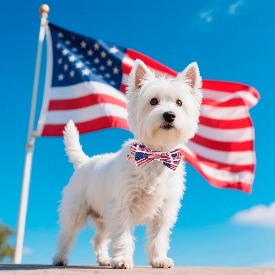 American Flag Dog Collar with Bow Tie Adjtable Patriotic 4th of July Pet Collars for Small Dogs Small