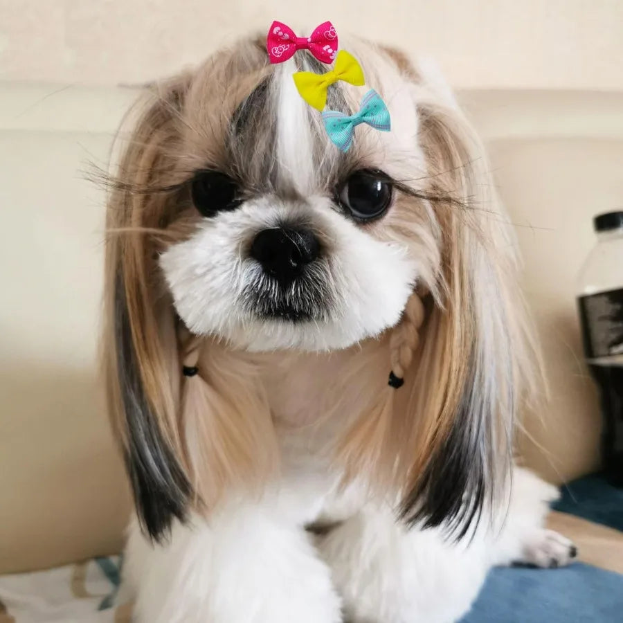 40PCS Dog Hair Bows with Clips 1.5Inch Girl Small Dog Apparel Accessories for Pet Puppy Cat Kitten Rabbit Hair Bows Clips