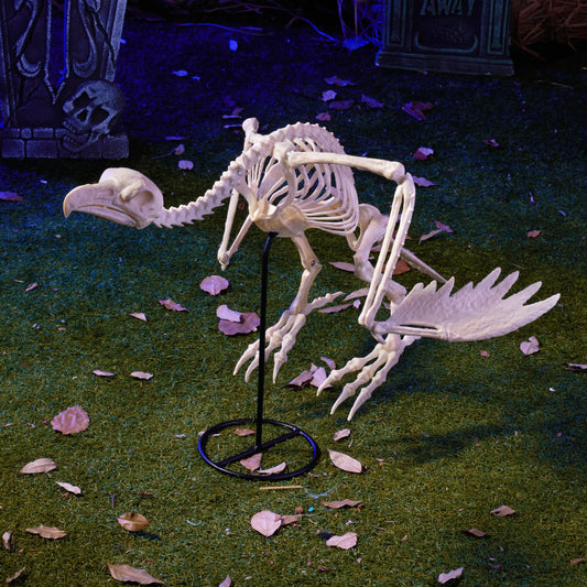 Joyfy 12 inch Halloween Vulture Skeleton Decorations Posable Animal Skeletons for Indoor Outdoor Yard Garden Lawn