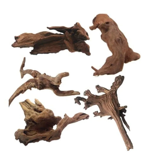 5PCS Aquarium Driftwood Branches 4''7.8'' Reptiles Trunk tural Wood Fish Tank Decoration Plant Stump Orment Decor Assorted