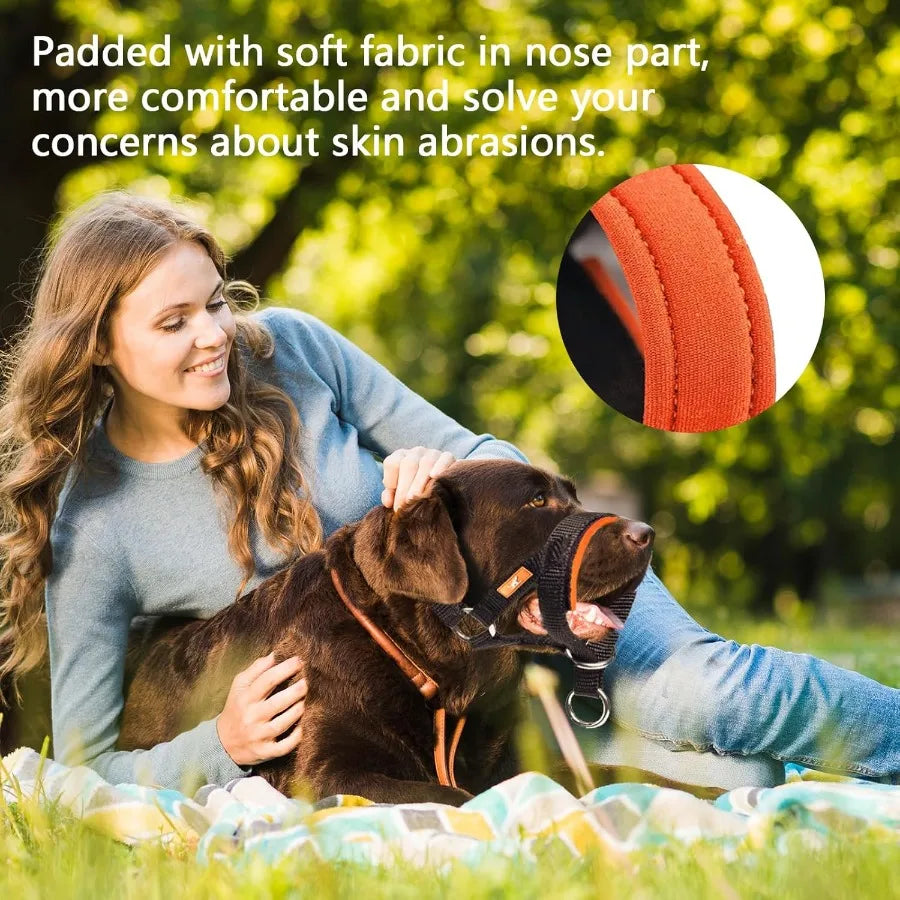 Dog Head Collar No Pull Head Harness with Soft Nylodjustable Head Leash for Small Medium Large Dogs S Apple Green