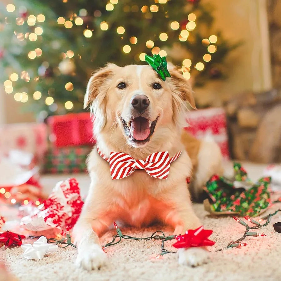 2 Pack Christmas Collar with Bowtie Classic Stripe Dog Christmas Collar for Girl and Boy Cute Adjustable Collars for Small Medi