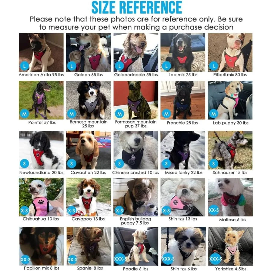 Dog Safety Vest Harness with Seatbelt Seat Belt Adjustable Pet Harnesses Double Breathable Mesh Fabric with Car Vehicle Connect