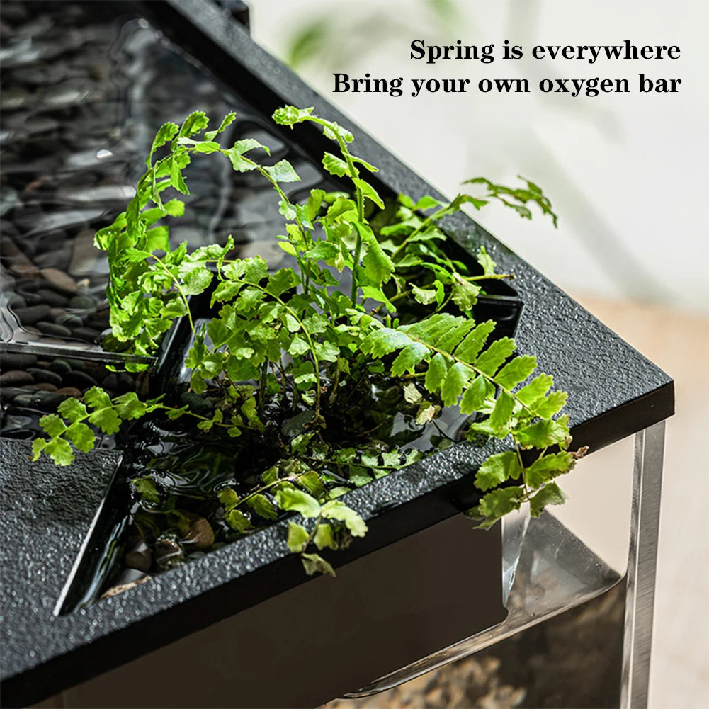 Desktop Fish Tanks High Transparency Acrylic Rectangular for Shrimp Small Fish Guppy Room&Office Desktop Decor with Pump + Light