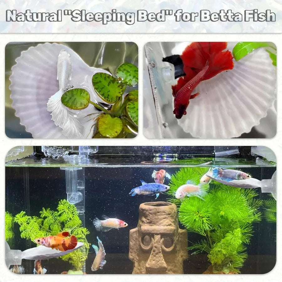 3PCS Betta Hammock Shells tural Small Fish Tank Decorations Betta Fish Tank Accessories Aquarium Decorations Aquarium Hideout H