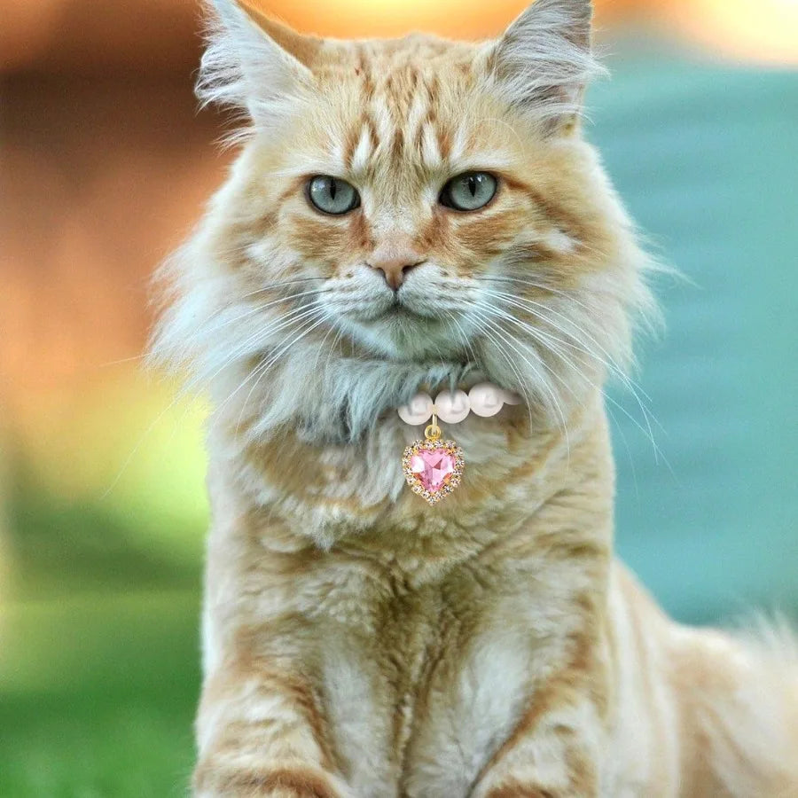 2pcs Cat Dog Pearl Collar Small Heart Shape Rhinestone Pet Necklace Adjustable Wedding Party Pet Jewelry Accessories for Puppy